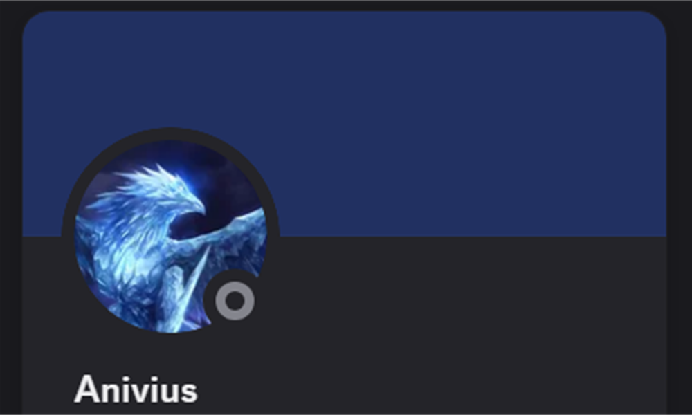 Discord profile of DragomiirLOL student Anivius, shown with permission