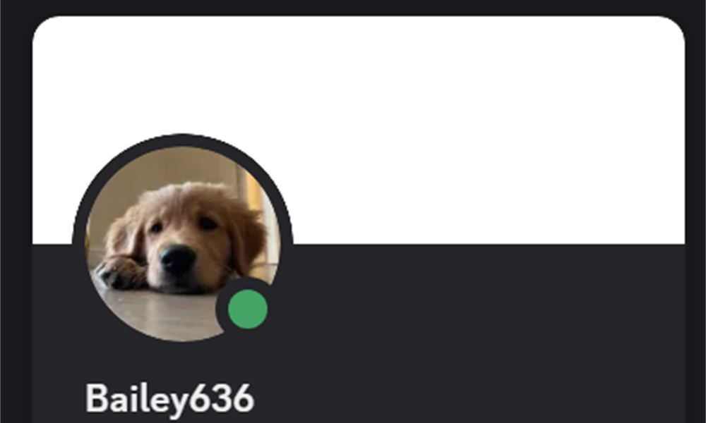 Discord profile of DragomiirLOL student Bailey636, shown with permission
