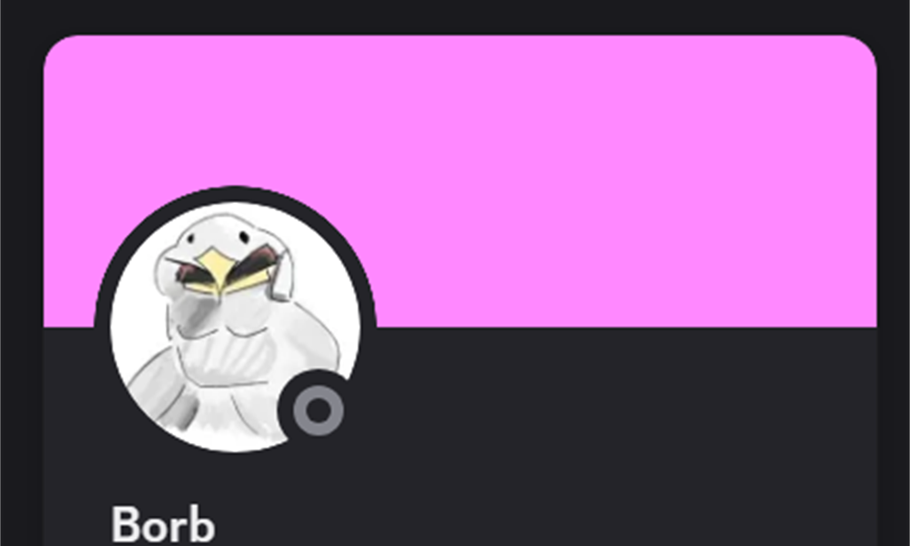 Discord profile of DragomiirLOL student Borb, shown with permission